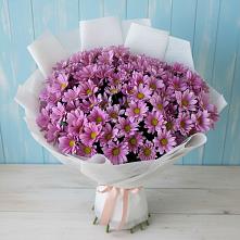 Букет цветов из:  Хризантемы #REPLACE_PRED# Карсун