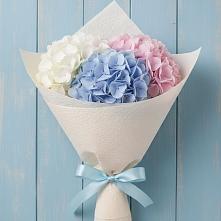 Букет цветов из:  Гортензия в Карсун