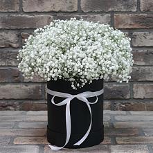Цветочная композиция из Гипсофила в шляпной коробке в Карсун
