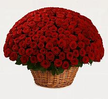 Премиум букет из: Розы в Карсун