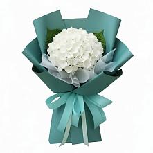 Букет цветов из:  Гортензия в Карсун